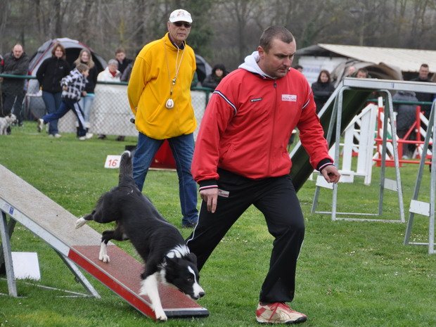 Concours d'agility, Macon, 7 avril 2013
