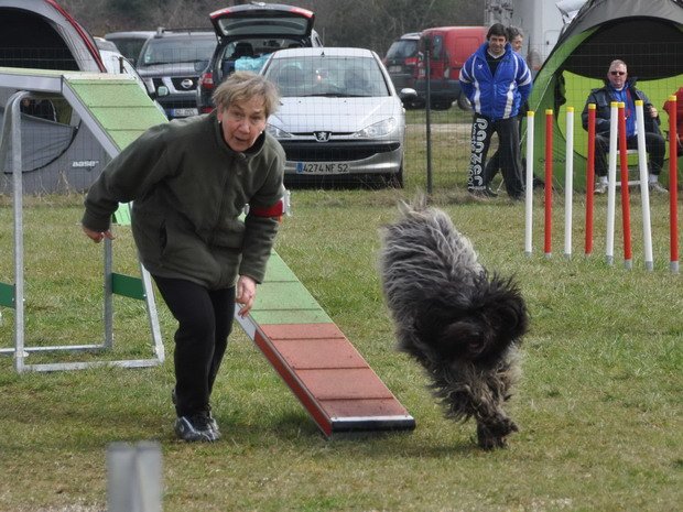 Concours d'agility, Girolles, 24 mars 2013