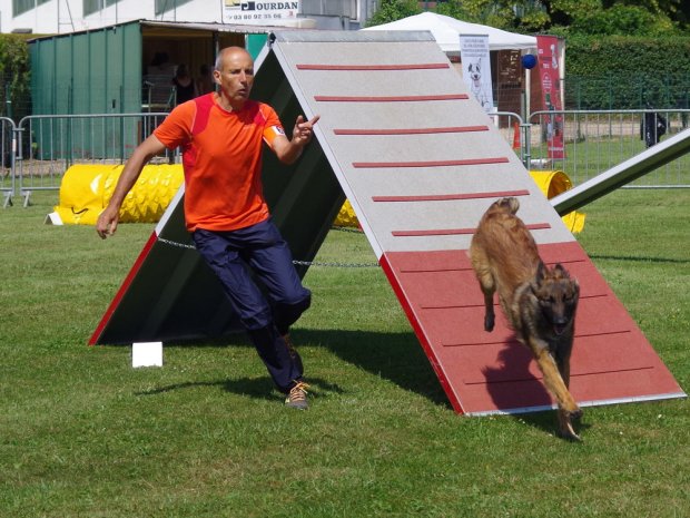 Concours d'agility, Montbard, 23 juin 2019