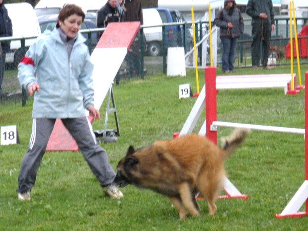 Concours d'agility, Macon, 28 mars 2010