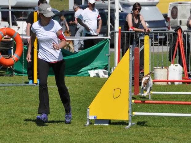 Concours d'agility, Louhans, 18 mai 2014