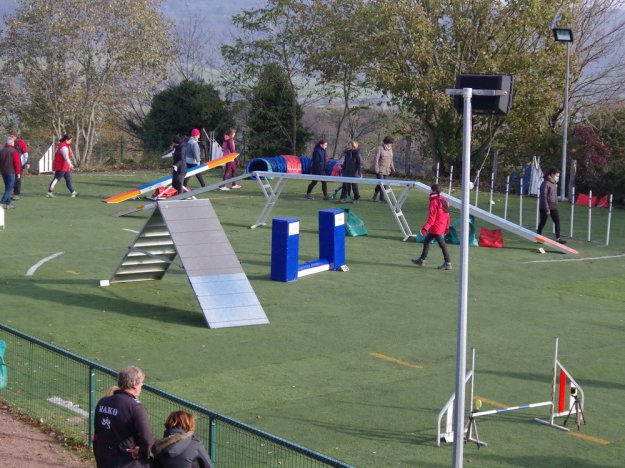 Concours d'agility, Le Creusot, 24 mars 2019