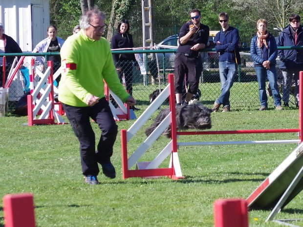 Concours d'agility, Macon (Davayé), 26 mars 2017