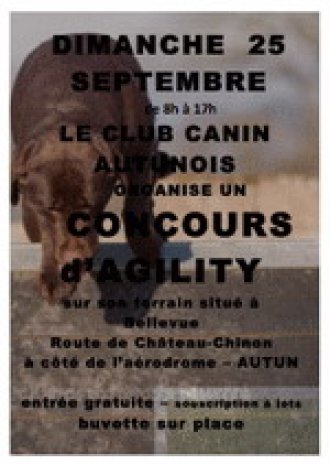 Concours d'agility, Autun, 25 septembre 2016