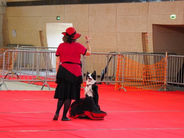 Dog-dancing, Le Creusot, 10 septembre 2022