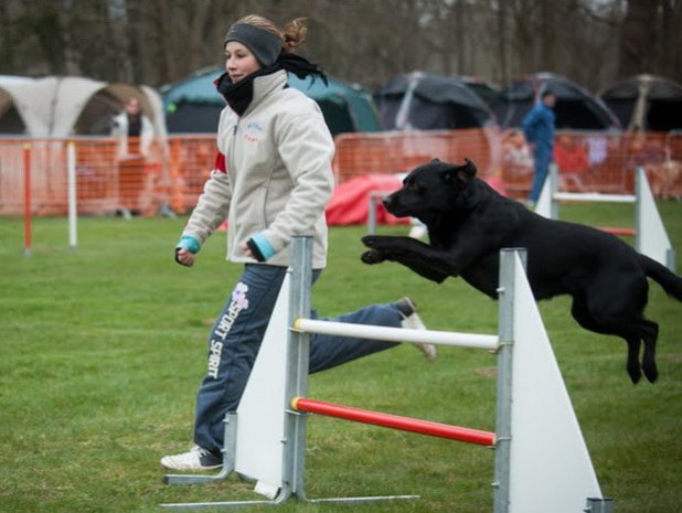 concours d'agility, Challuy, 7 avril 2013