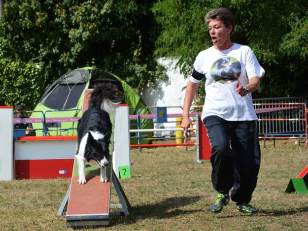 Concours d'agility, Auxerre, 8 septembre 2013