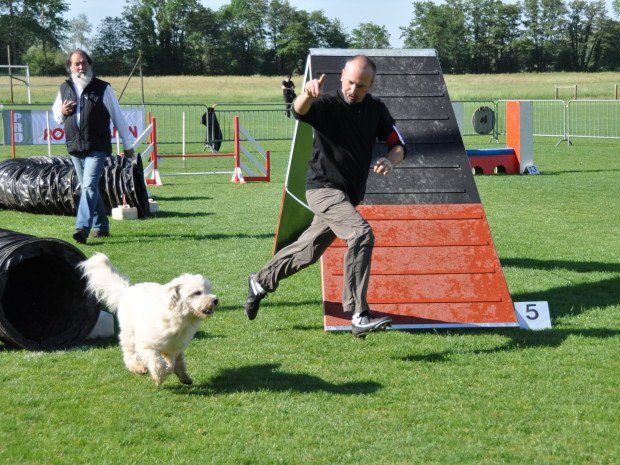 Concours d'agility; Louhans, 15 mai 2011