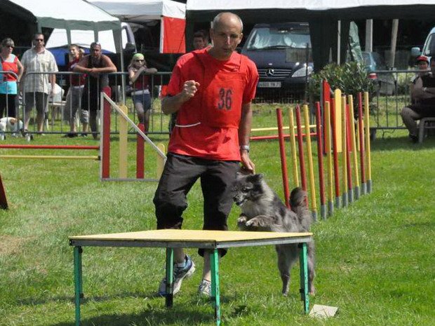 Concours d'agility, Autun, 26 juin 2010