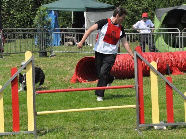 Concours d'agility, Autun, 26 juin 2010