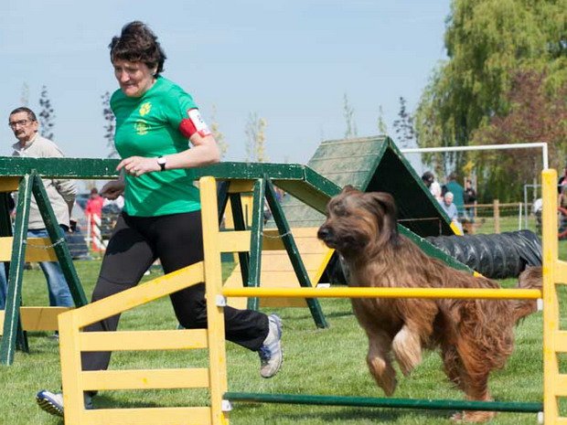Concours d'agility, Barges, 20 avril 2014