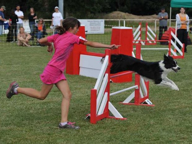 Concours d'agility, Magny sur Tille, 21 juillet 2012