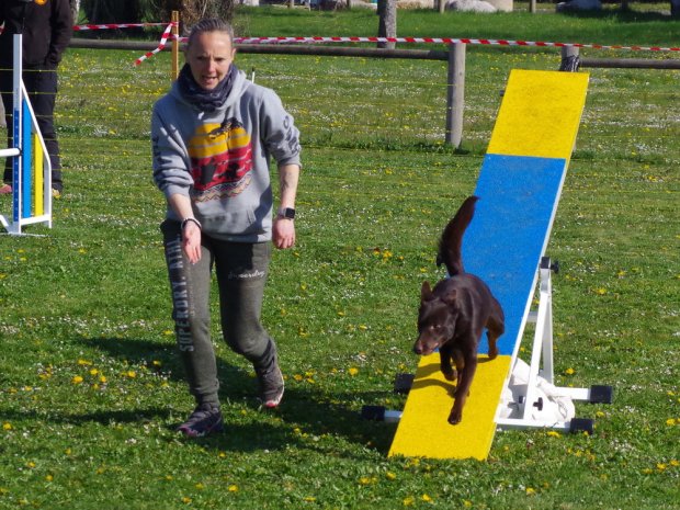 Concours d'agility, Barges, 9 avril 2023