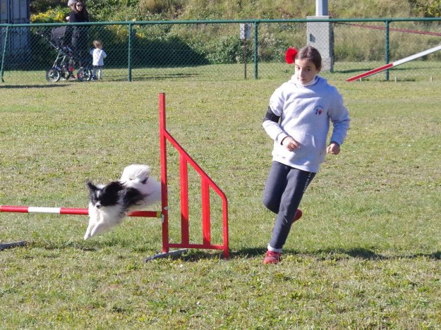Concours d'agility, Dijon, 24 octobre 2021