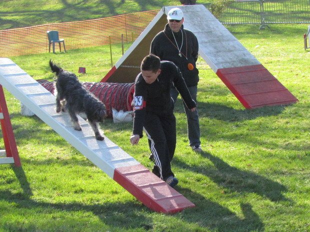 Concours d'agility, Le Creusot 20 mars 2011