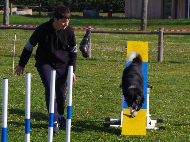 Concours d'agility, Barges, 9 avril 2023