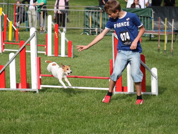 Concours d'agility, Le Creusot, 27 mai 2012