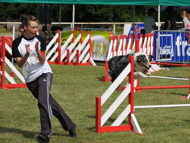 Concours d'agility, Magny sur Tille, 21 juillet 2012