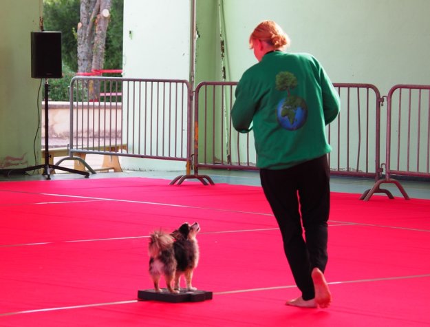 Concours dog-dancing, Le Creusot, 14 août 2021