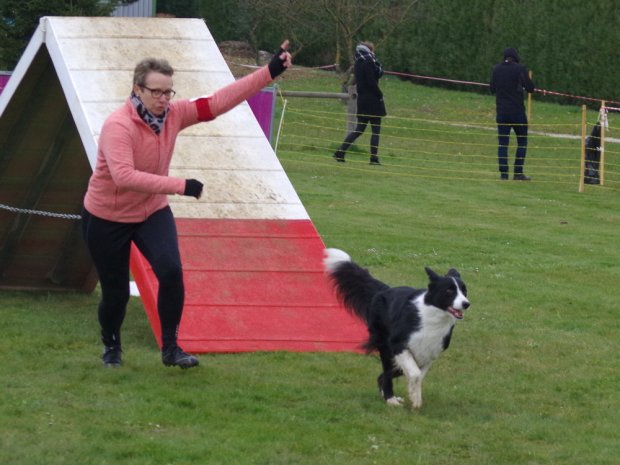 Concours d'agility, Barges, 1 avril 2018