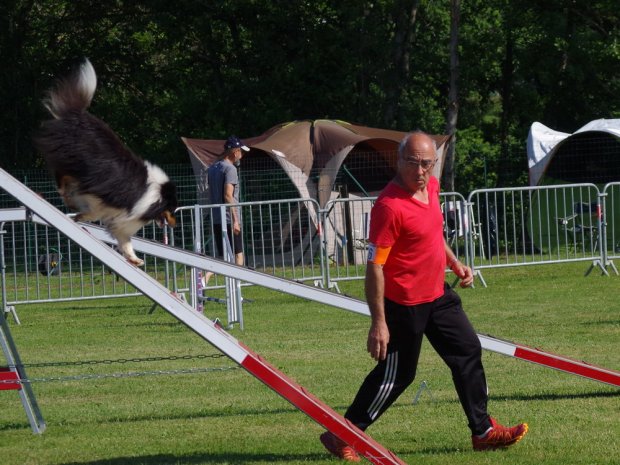 Concours d'agility, Montbard, 23 juin 2019