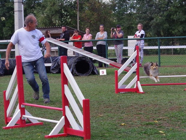 Concours d'agility, Macon (Davayé), 2 octobre 2016