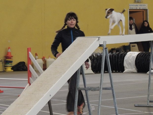 Concours d'agility, Seurre, 24 février 2013