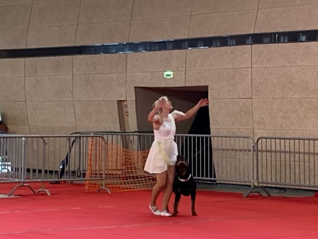 Dog-dancing, Le Creusot, 10 septembre 2022