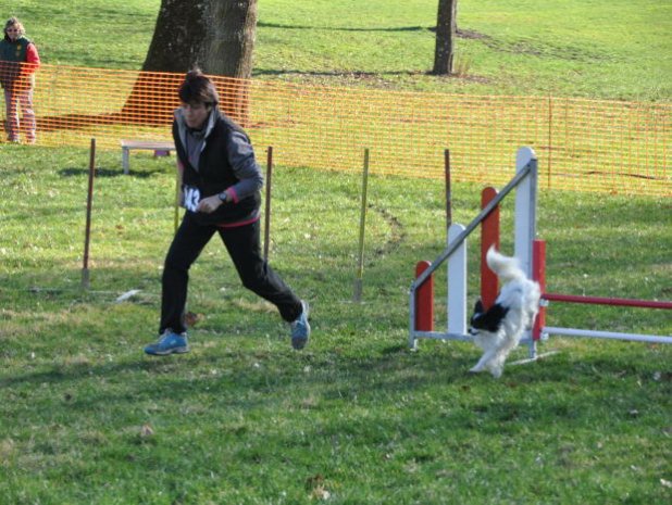 Concours d'agility, Le Creusot 20 mars 2011