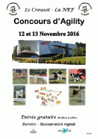 Concours d'agility, Le Creusot (la Nef), les 12 et 13 novembre 2016