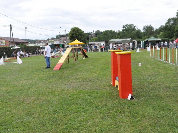 Concours d'agility, Montbard, 6 juin 2010