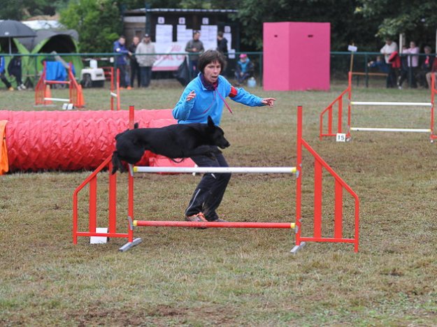 Concours d'agility, Dijon, 18 septembre  2016