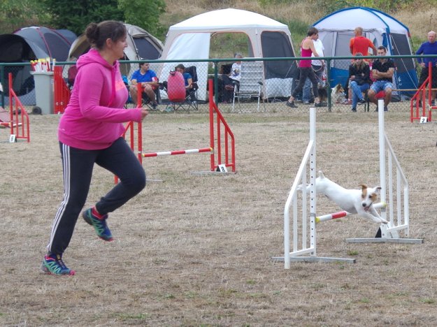 Concours d'agility, Dijon, 23 septembre 2018