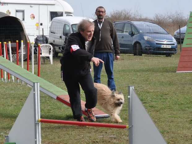 Concours d'agility, Girolles, 24 mars 2013