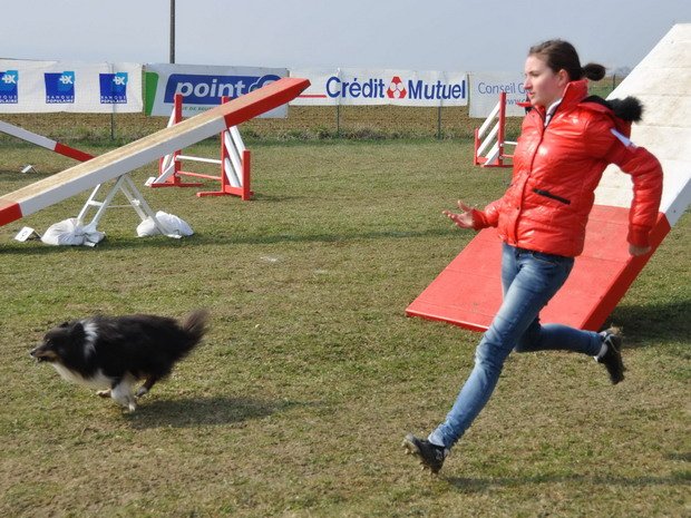 Concours d'agility, Barges, 31 mars 2013