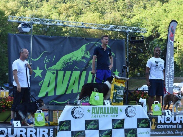 concours d'agility, Avallon Cup 2016