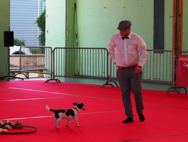 Concours dog-dancing, Le Creusot, 14 août 2021
