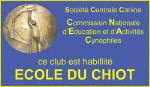 ecol chiot