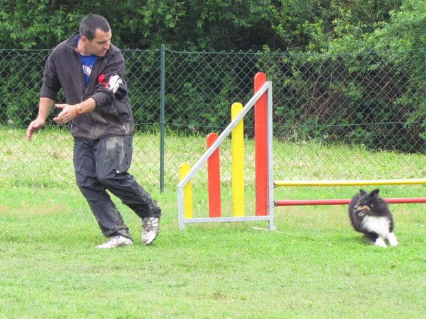 concours d'agility, Montceau les Mines, 3 juin 2012