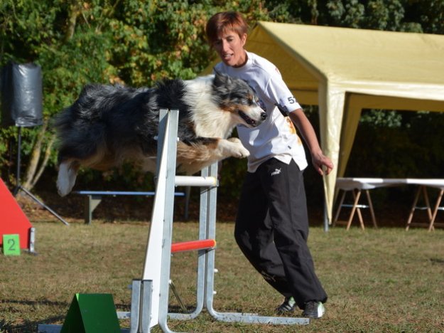 Concours d'agility, Auxerre, 8 septembre 2013
