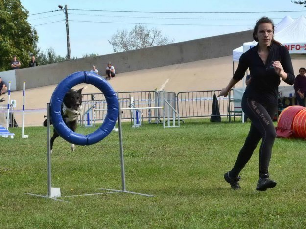 Concours d'agility, Auxerre, 18 septembre 2021