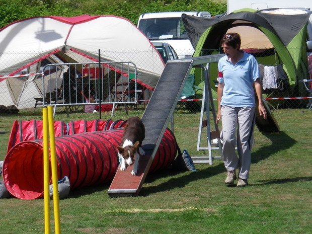 Concours d'agility, Montceau les Mines, 5 juin 2011