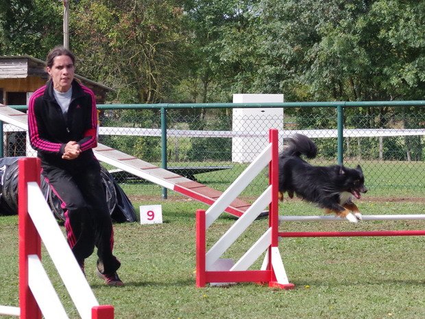 Concours d'agility, Macon (Davayé), 2 octobre 2016