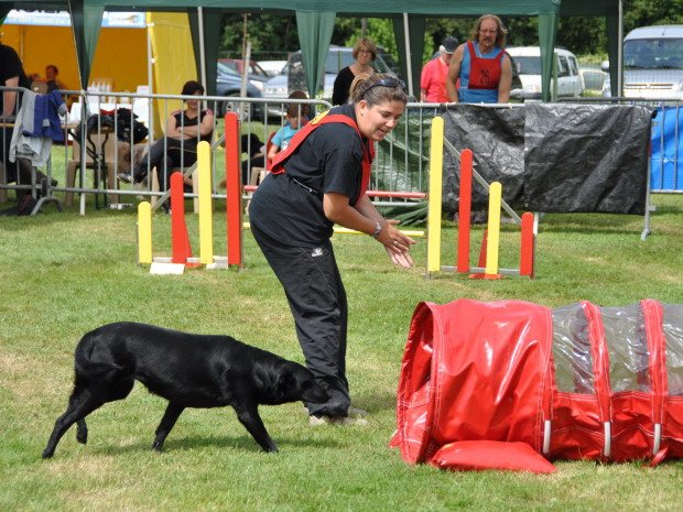 Concours d'agility, Autun, 1er juillet 2012