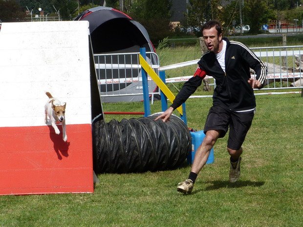 Concours d'agility, Migennes, 18 septembre 2011