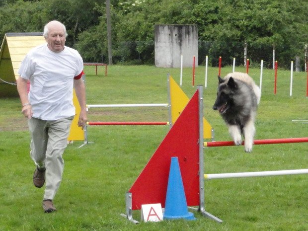 concours d'agility, Montceau les Mines, 3 juin 2012