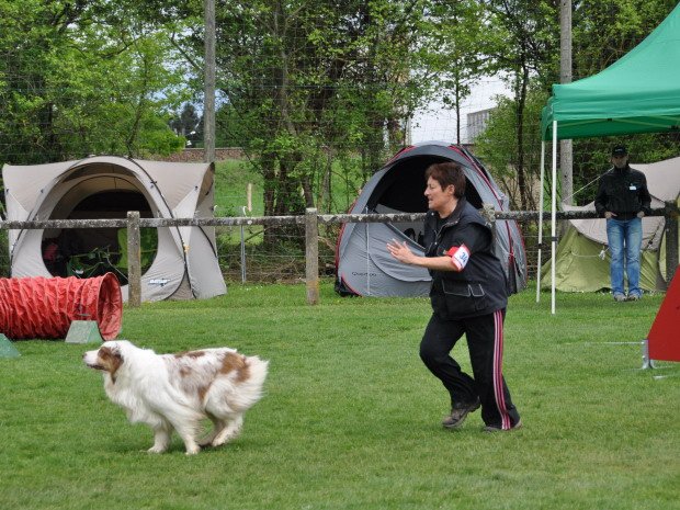 Concours d'agility, Louhans, 6 mai 2012