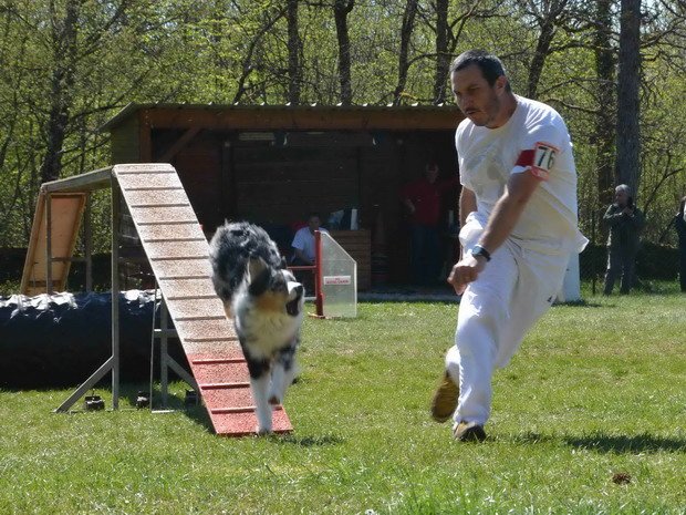 Concours d'agility, Daix, 19 avril 2015