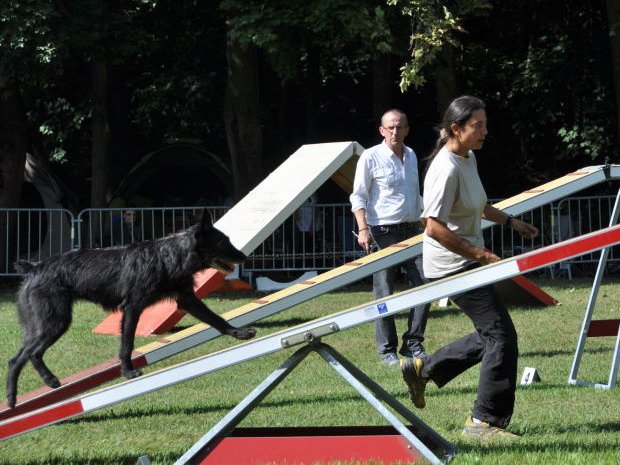 Concours d'agility, Châtenoy le Royal, le 23 septembre 2012