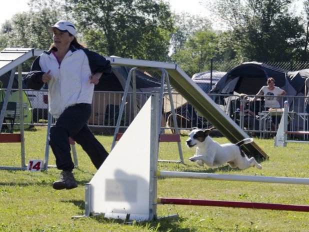 Concours d'agility, Montbard, 29 mai 2011